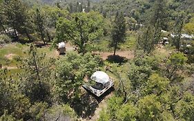 Enchanted Forest Dome ,10-15 Minutes To Kings Canyons-New Pellet Stove For Cozy Warm Nights